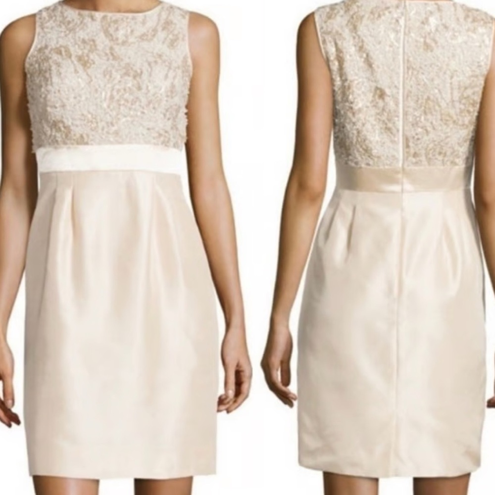 Tahari Dress with Decorative Bodice